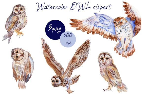 BOHO Owl Clipart: Watercolor Woodland Charm for Your Projects