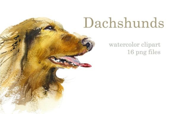 Watercolor Dachshund: A Playful Collection for Creative Projects